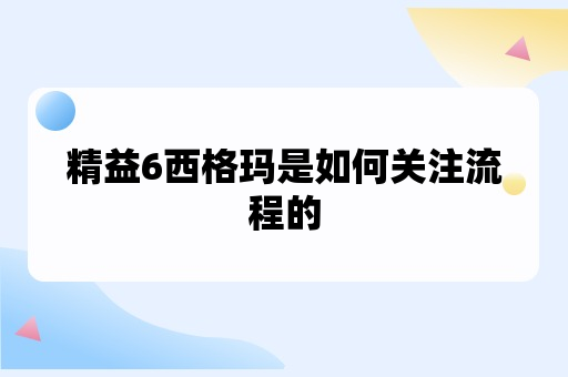 精益6西格玛是如何关注流程的