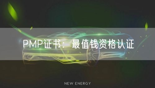 PMP证书：最值钱资格认证(图1)