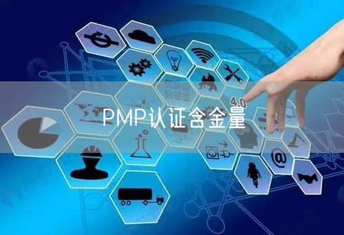 PMP认证含金量(图1)