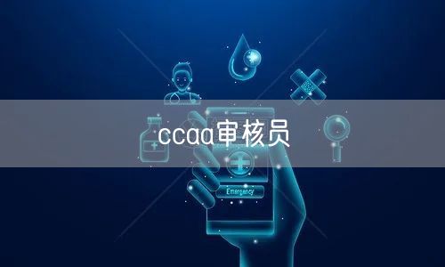 ccaa审核员