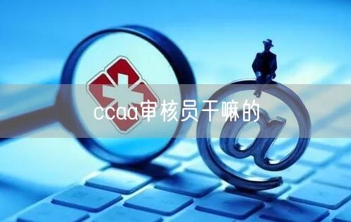 ccaa审核员干嘛的