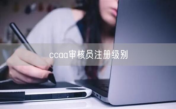 ccaa审核员注册级别