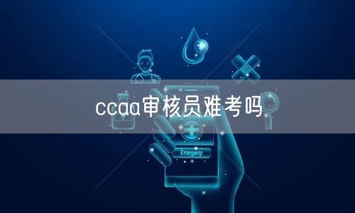 ccaa审核员难考吗