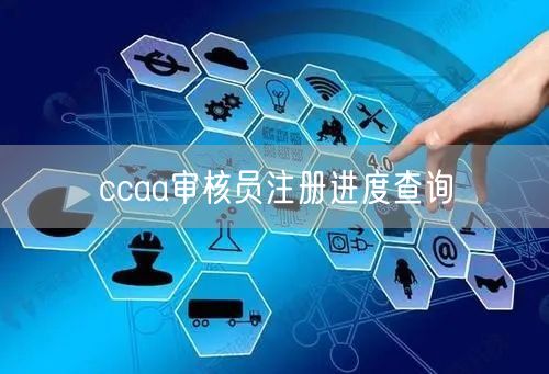 ccaa审核员注册进度查询