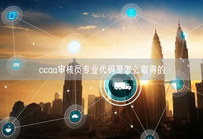 ccaa审核员专业代码是怎么取得的