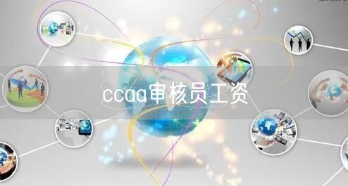 ccaa审核员工资