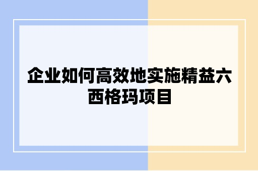 企业如何高效地实施精益六西格玛项目