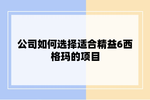 公司如何选择适合精益6西格玛的项目