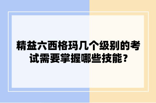 精益六西格玛铜牌考试